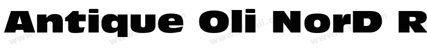 Antique Oli NorD Reg字体转换